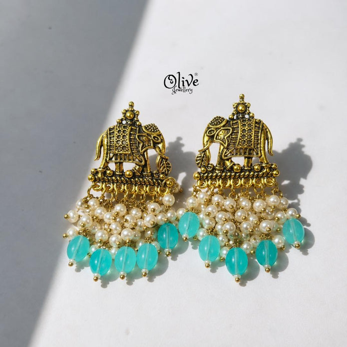 Oxidized Earrings-1253