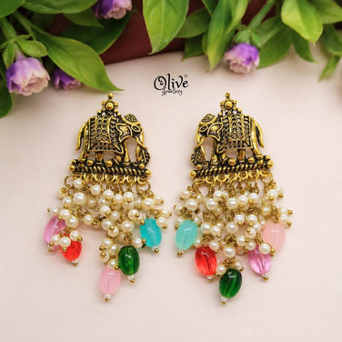 Oxidized Earrings-1253