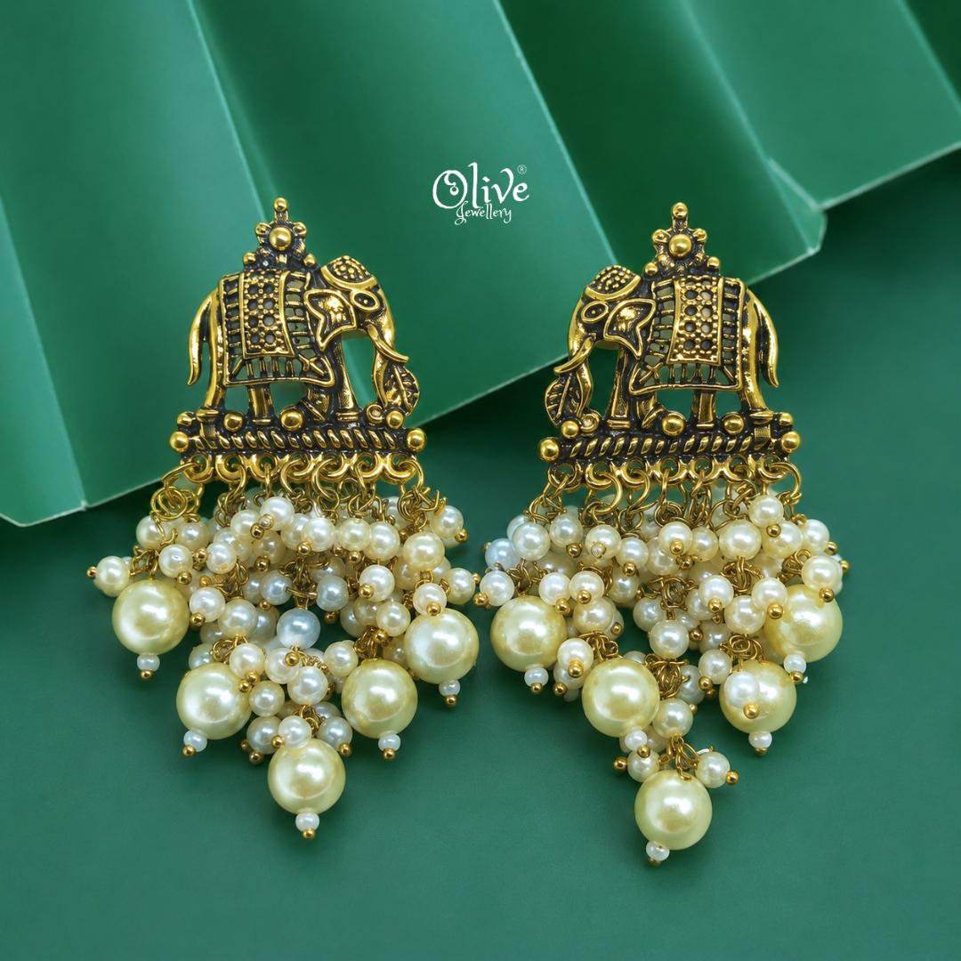 Oxidized Earrings-1263