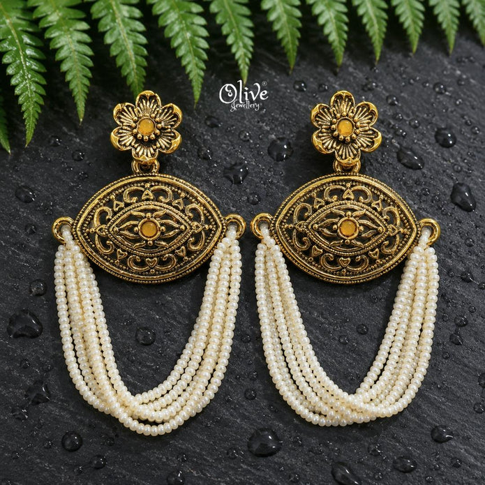 Oxidized Earrings-1264