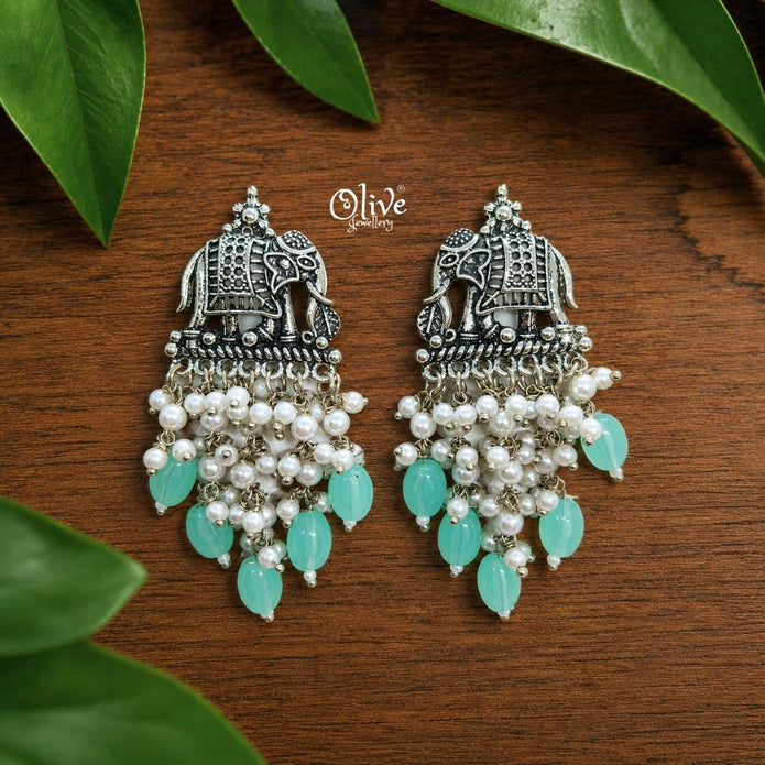 Oxidized Earrings-1274