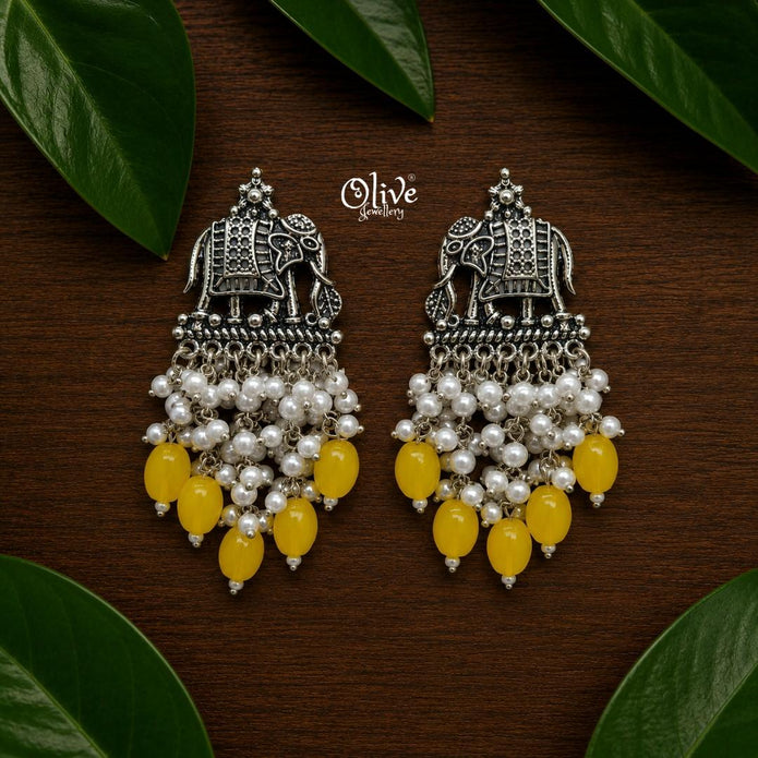 Oxidized Earrings-1274