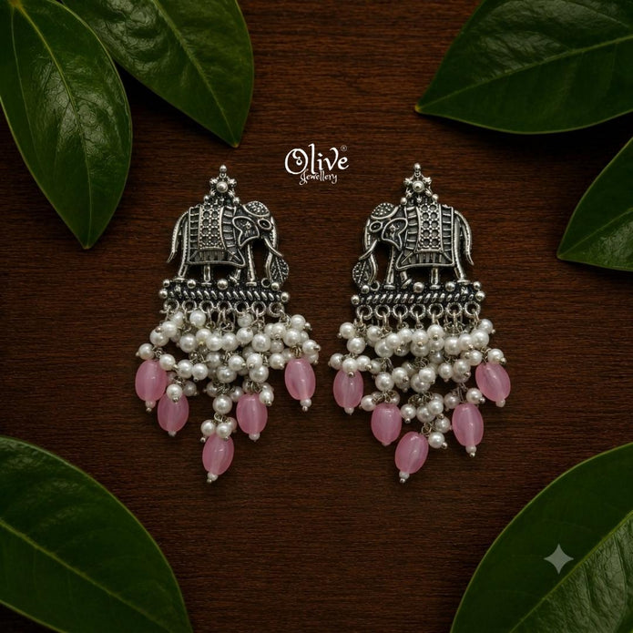 Oxidized Earrings-1274
