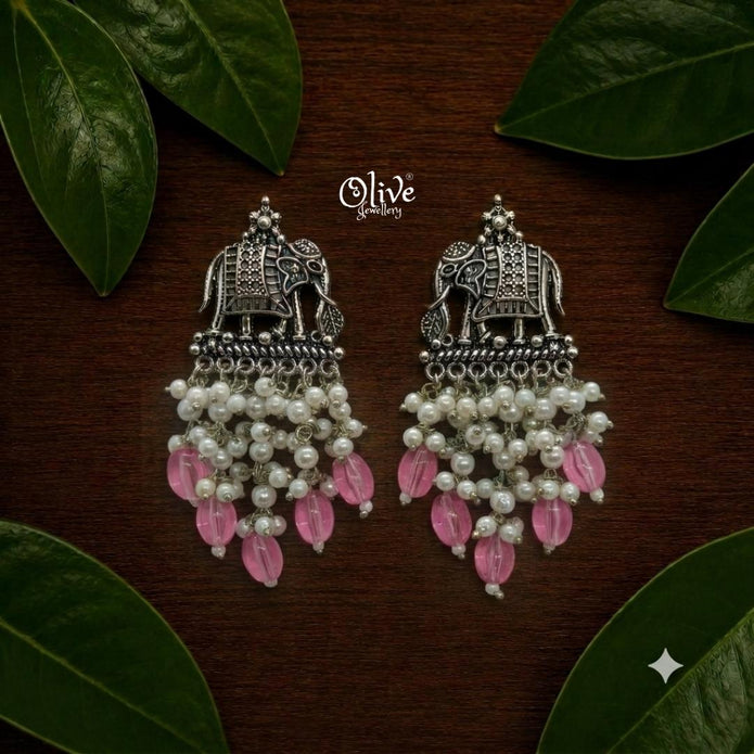 Oxidized Earrings-1274