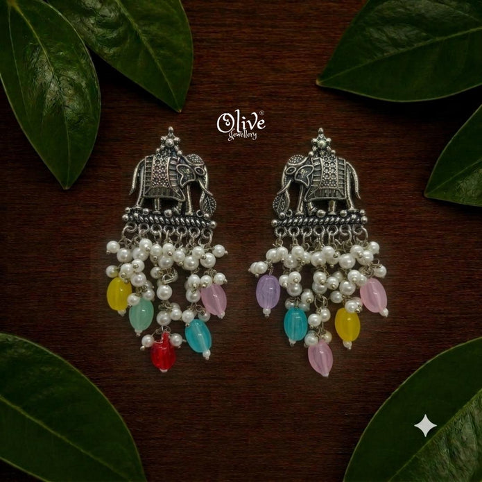 Oxidized Earrings-1274