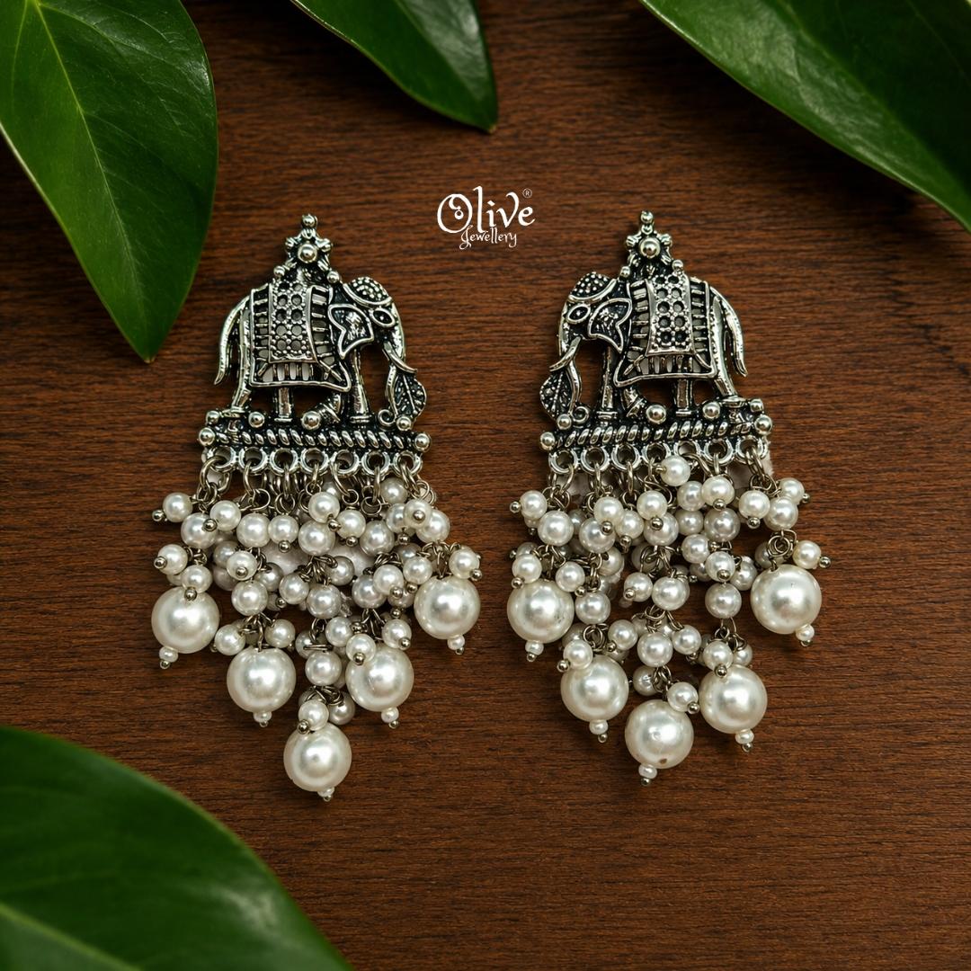 Oxidized Earrings-1284