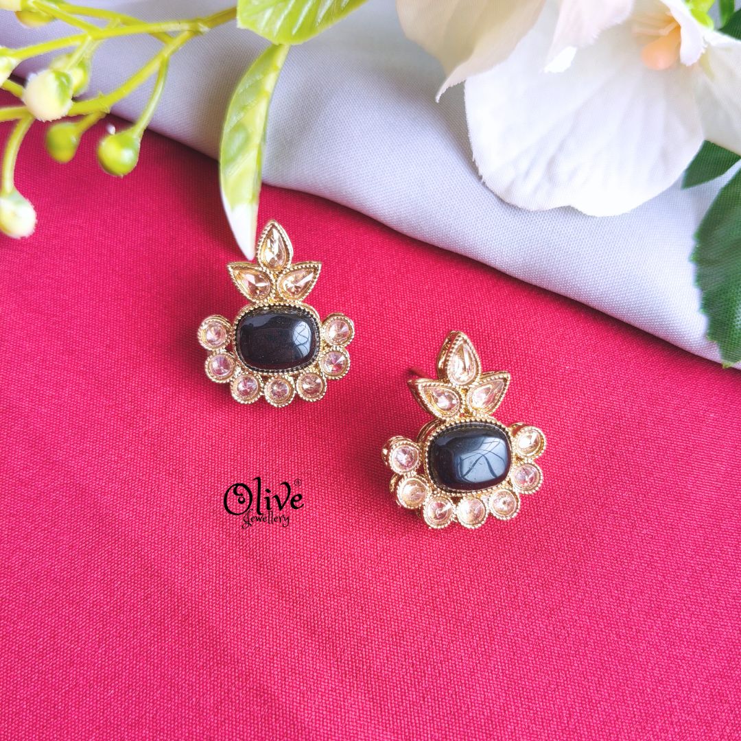Raga Earrings - 567