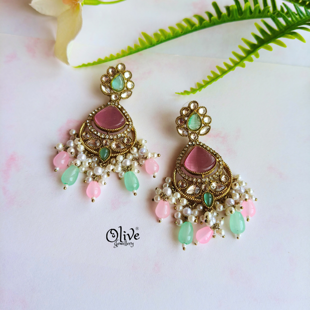 Raga Earrings - 678
