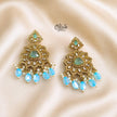 Raga Earrings - 784