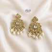 Raga Earrings - 784