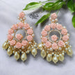 Raga Fusion Earrings - 20