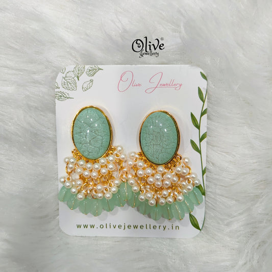 Raga Fusion Earrings -113