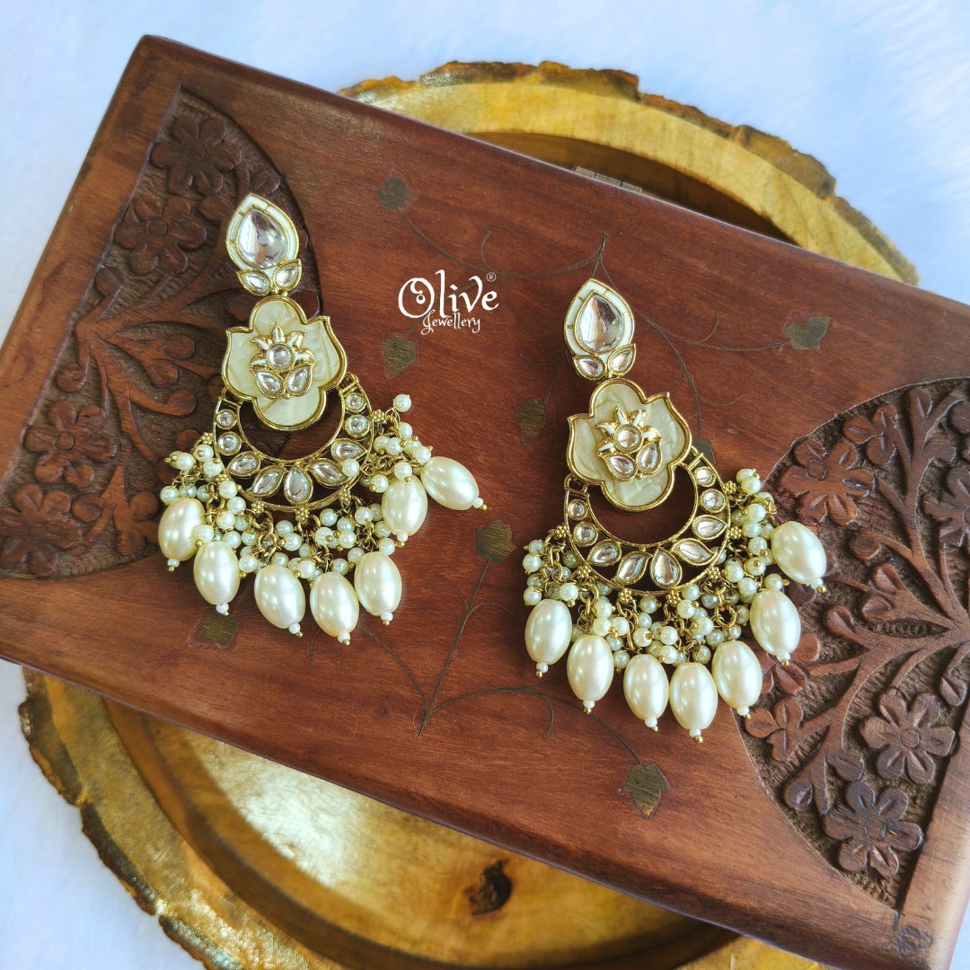 Raga Fusion Earrings - 177