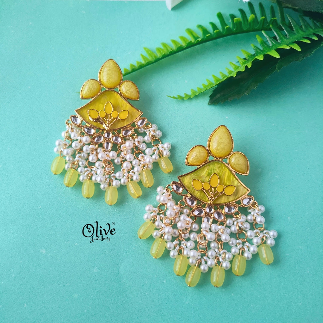 Raga Fusion Earrings - 204