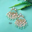 Raga Fusion Earrings - 204