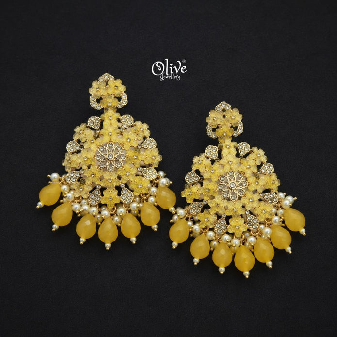 Raga Fusion Earrings - 236