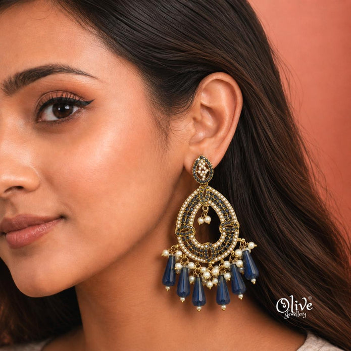 Raga Fusion Earrings - 251