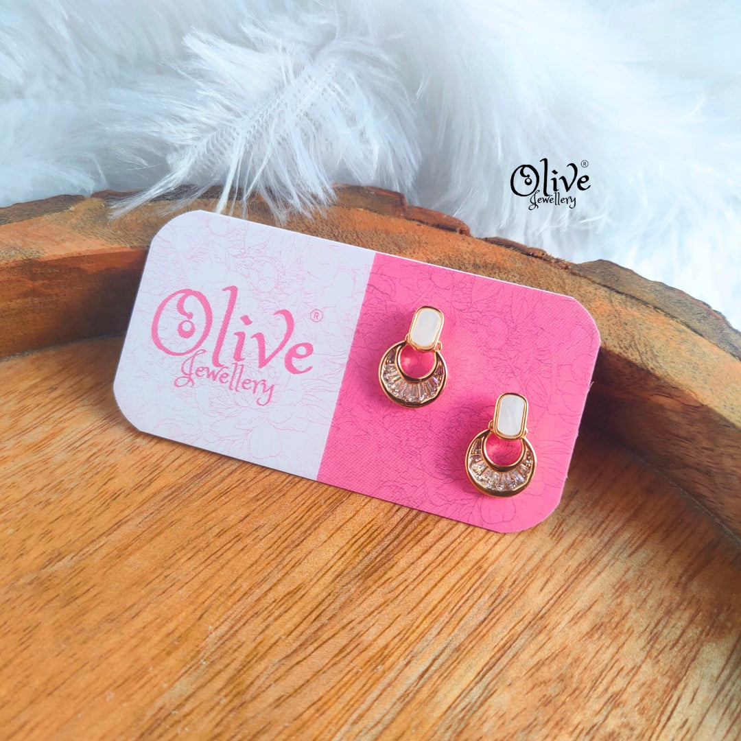 Stainless Steel Earrings - 13