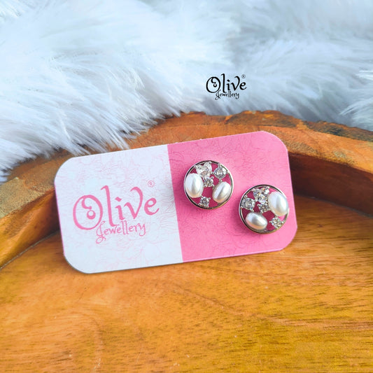 Stainless Steel Earrings - 22