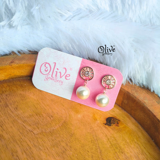 Stainless Steel Earrings - 25
