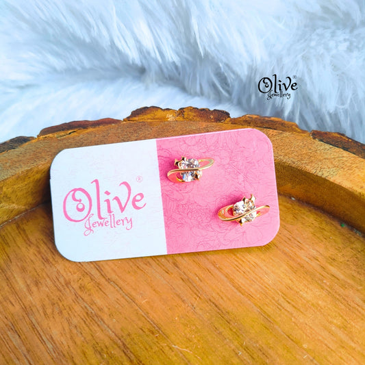 Stainless Steel Earrings - 39