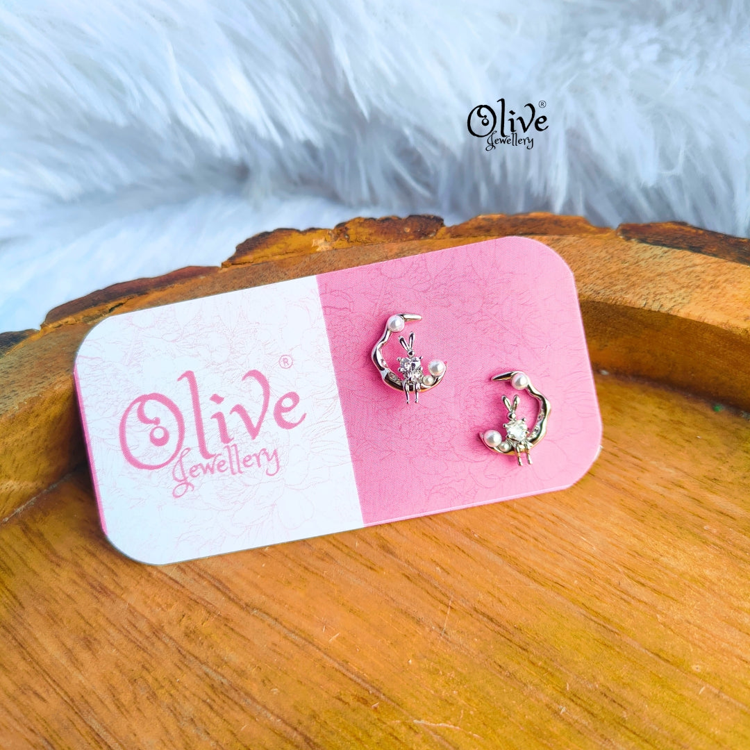 Stainless Steel Earrings - 42