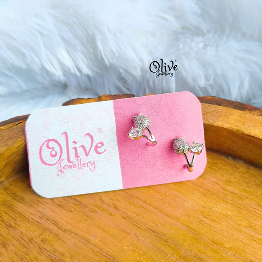 Stainless Steel Earrings - 43