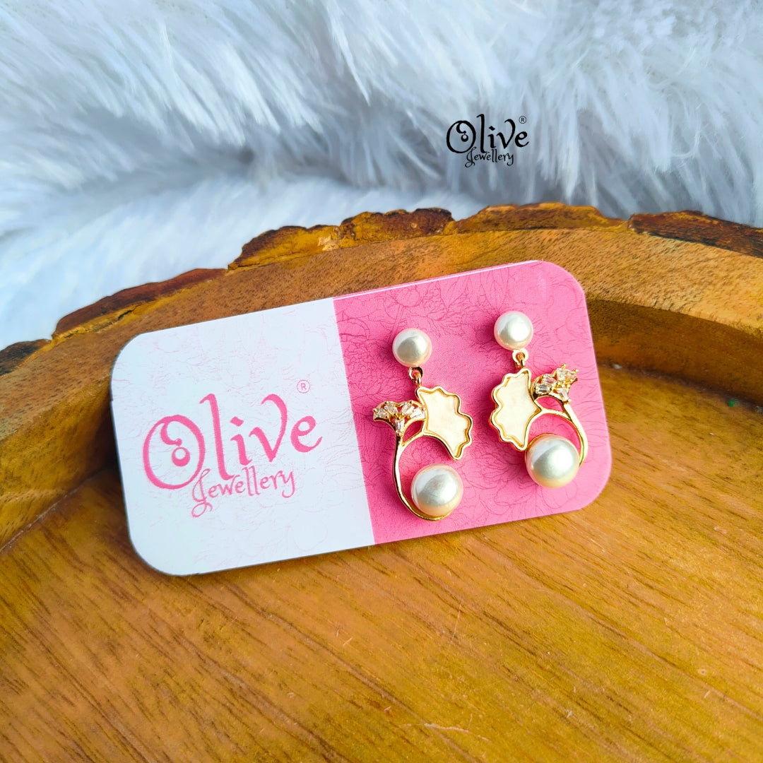 Stainless Steel Earrings - 48