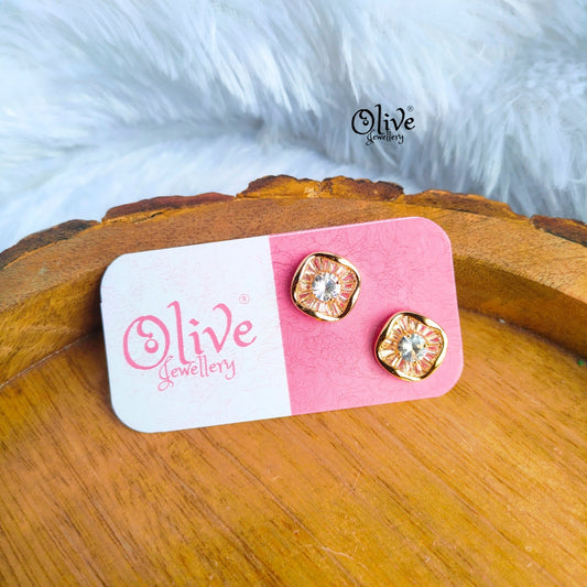 Stainless Steel Earrings - 51