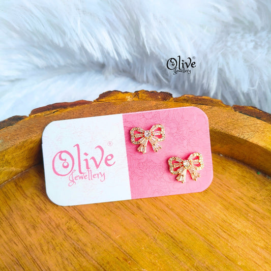 Stainless Steel Earrings - 55