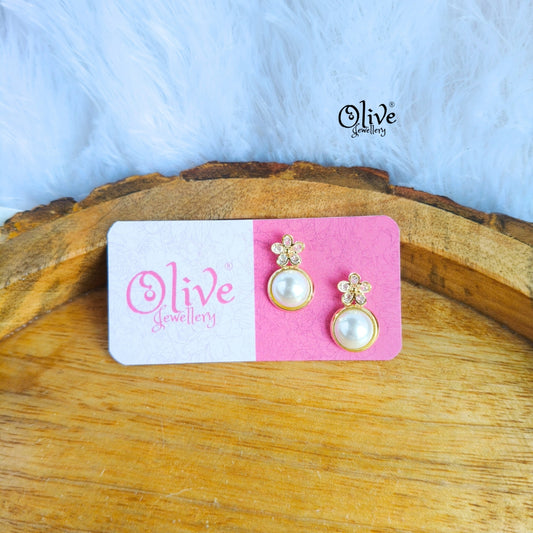 Stainless Steel Earrings - 68