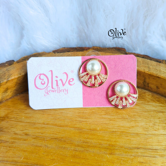 Stainless Steel Earrings - 74