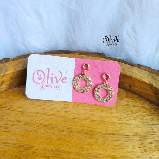 Stainless Steel Earrings - 76