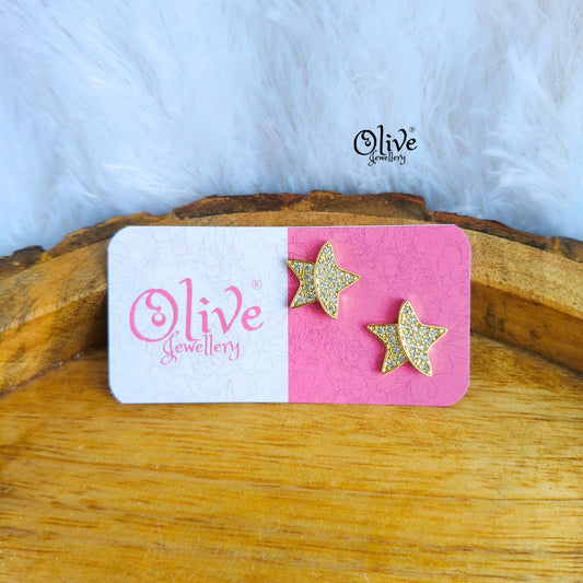 Stainless Steel Earrings - 83