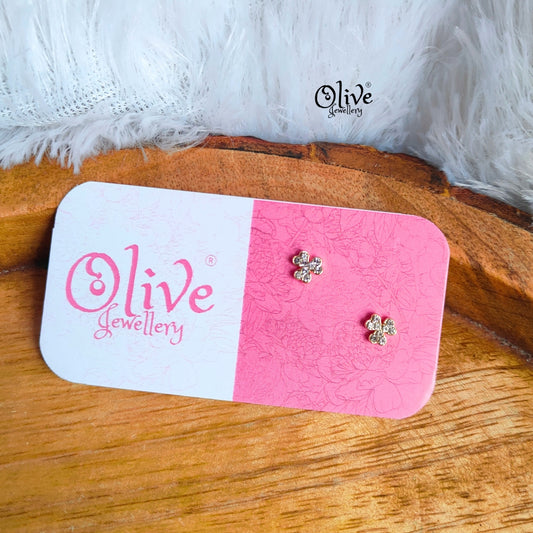 Stainless Steel Earrings - 91