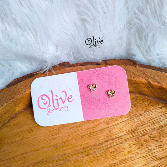 Stainless Steel Earrings - 97