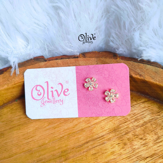 Stainless Steel Earrings - 98