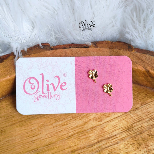 Stainless Steel Earrings - 99