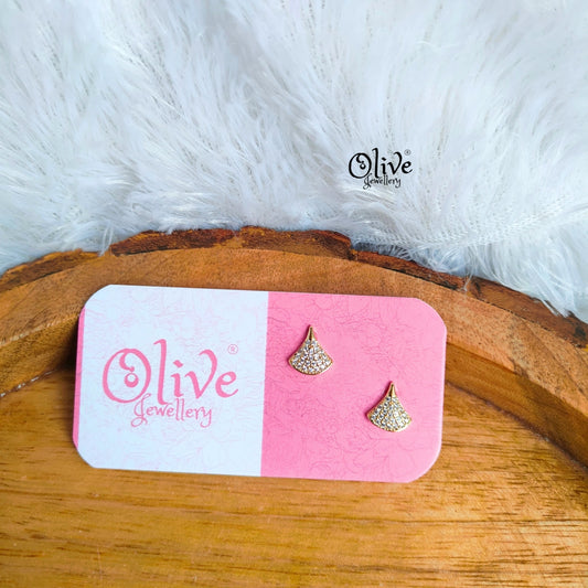 Stainless Steel Earrings - 102