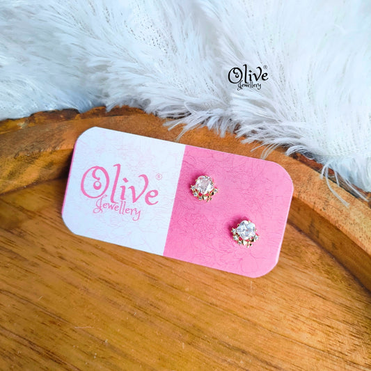 Stainless Steel Earrings - 112