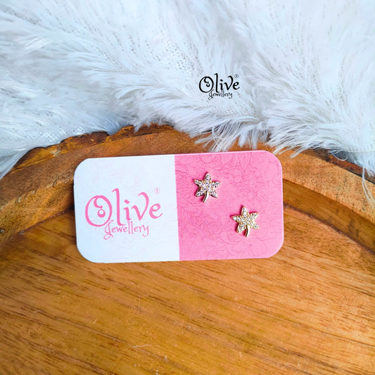 Stainless Steel Earrings - 114