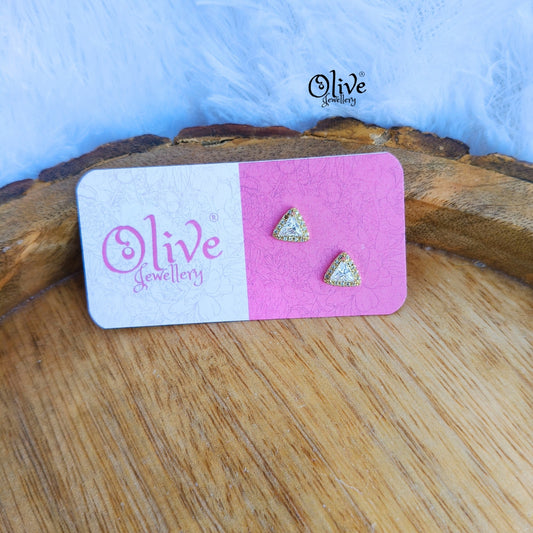 Stainless Steel Earrings - 120