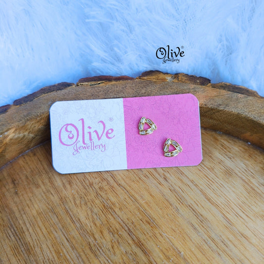 Stainless Steel Earrings - 123