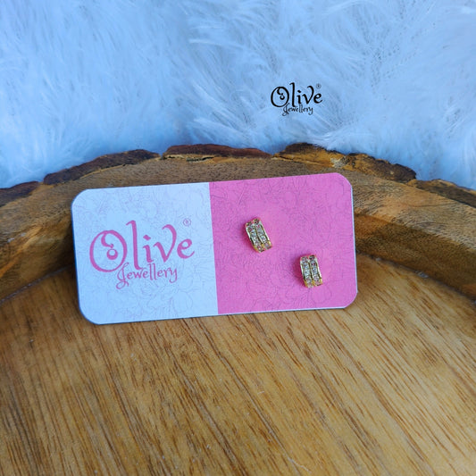 Stainless Steel Earrings - 126