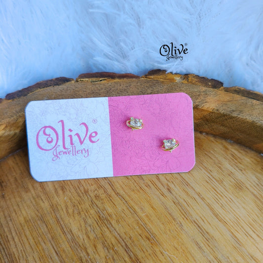 Stainless Steel Earrings - 127