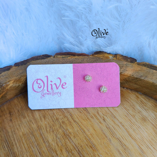 Stainless Steel Earrings - 129