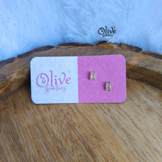 Stainless Steel Earrings - 131