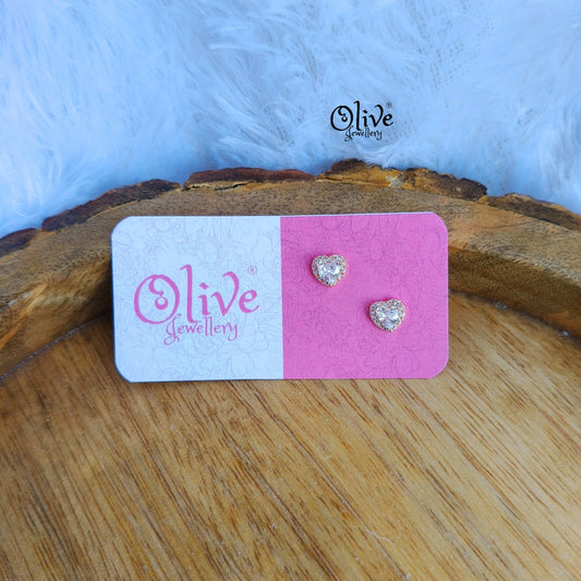 Stainless Steel Earrings - 136