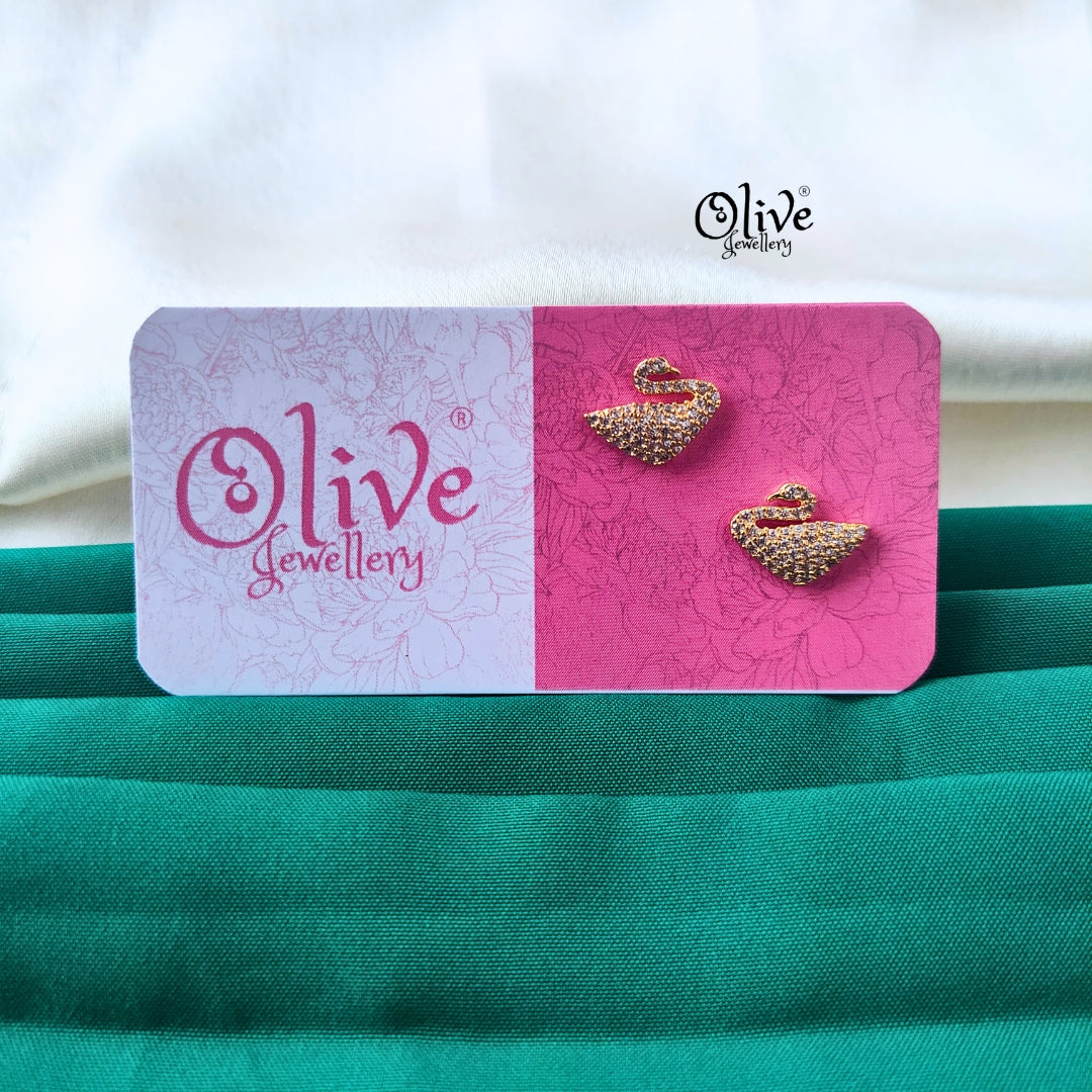 Stainless Steel Earrings - 164