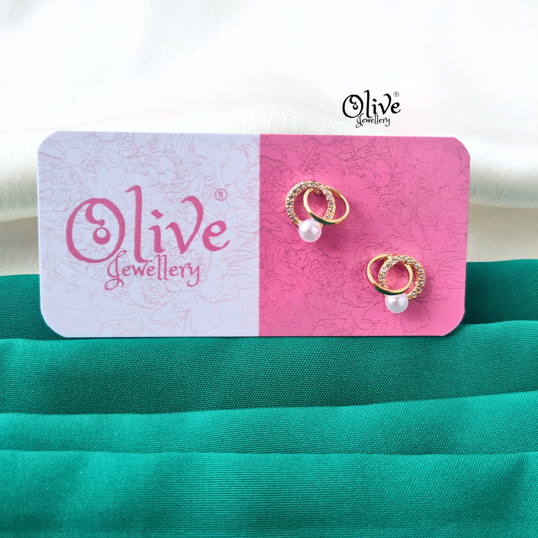 Stainless Steel Earrings - 170